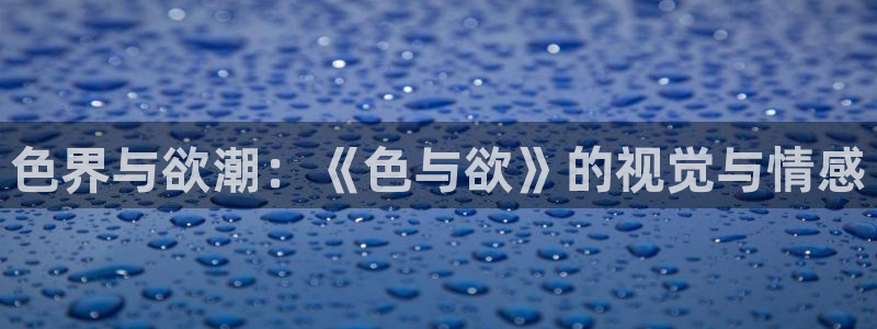 八戒八戒电影在线播放大全